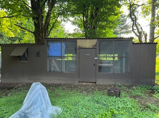 My chicken journey and the coop transition