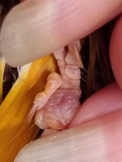 bumble week 3.jpg