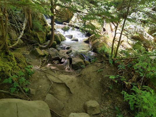 IMG_20250726_124154360_HDR.jpg