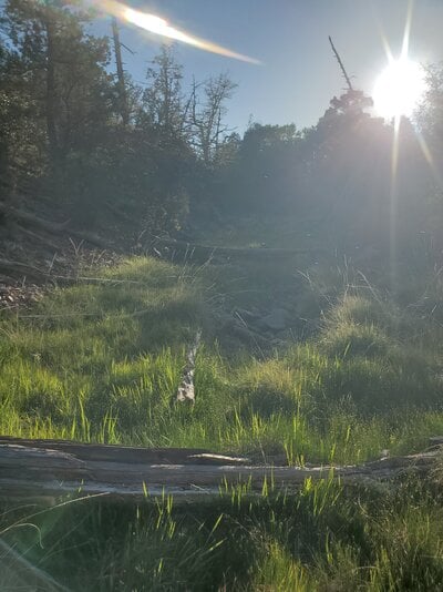 20250520_180626.jpg
