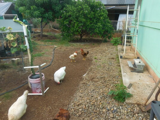 DSCN0079.JPG