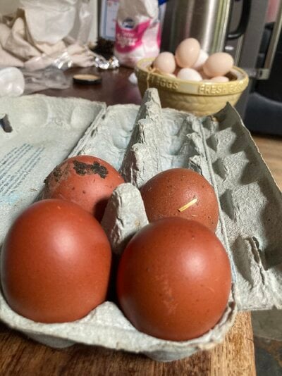 IMG_0591.jpeg