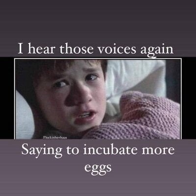 voices.jpg
