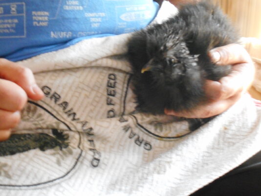 DSCN9052.JPG