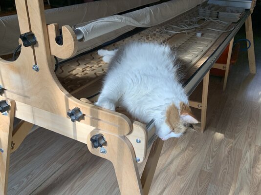BED2387C-701A-428A-A624-6C51E8BEE6FE.jpeg