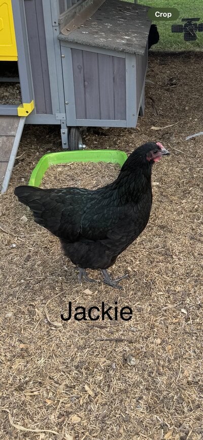 IMG_0842.jpeg