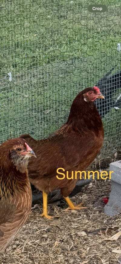 IMG_0825.jpeg