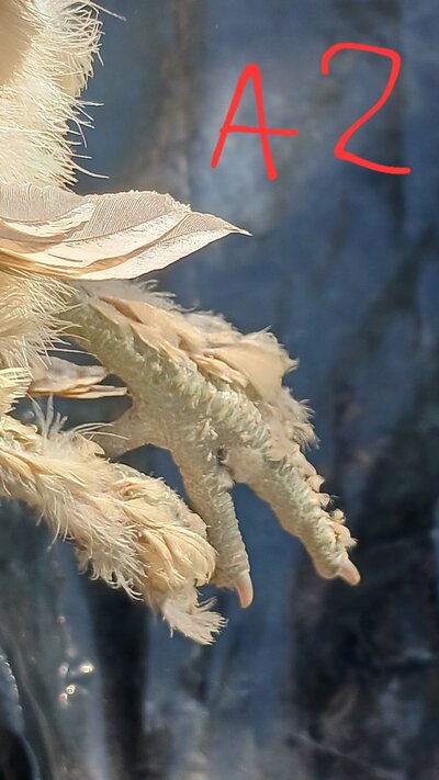 20250808_145800.jpg