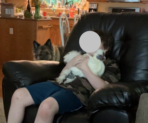 IMG_7070.jpeg