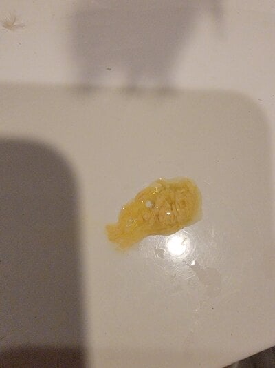 20250814_202248.jpg