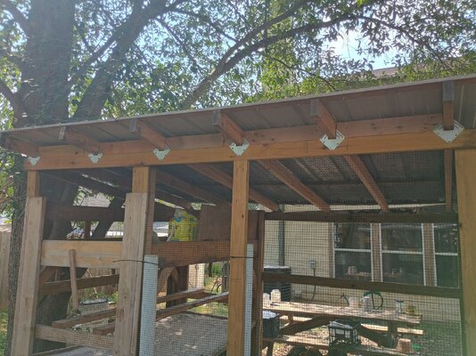 IMG_20250816_161334297_HDR.jpg