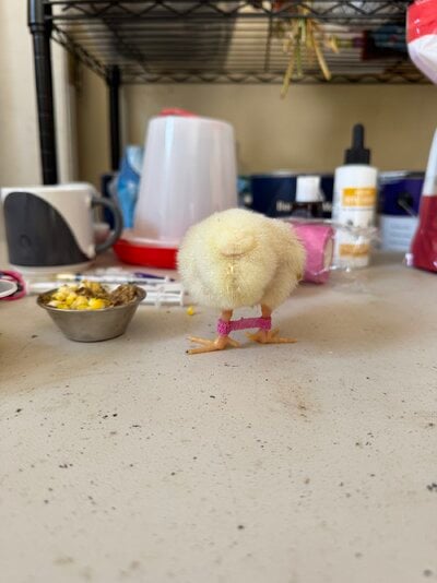 IMG_3097.jpeg