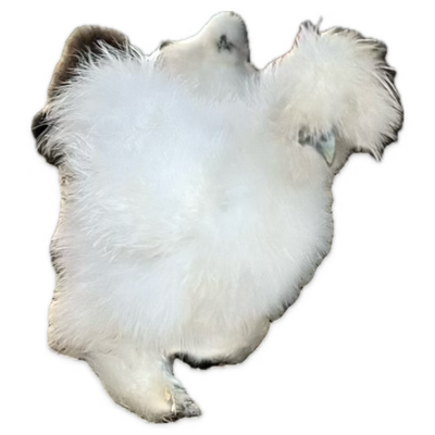 1755594410713.png
