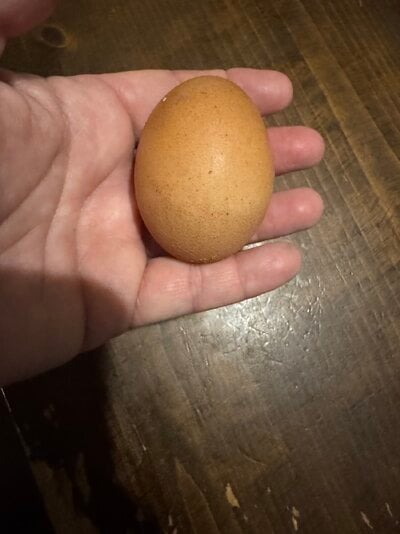 IMG_6798.jpeg