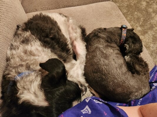 20250213_005837.jpg