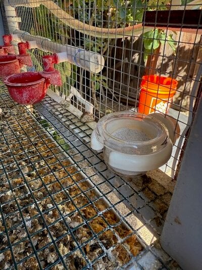 image1 (49).jpeg