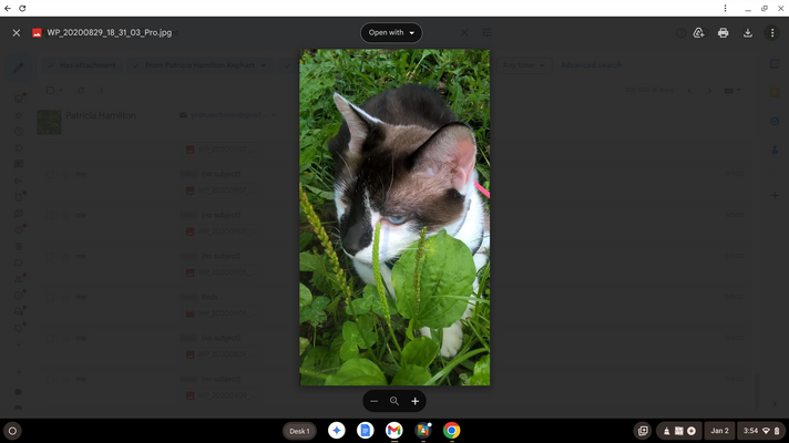 Screenshot 2025-01-02 3.54.13 AM.png