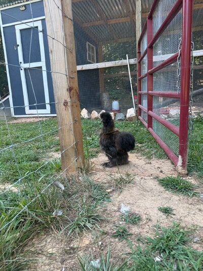 IMG_0835.jpeg
