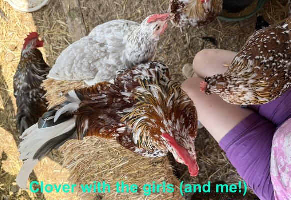Clover with Me and the Girls.jpg