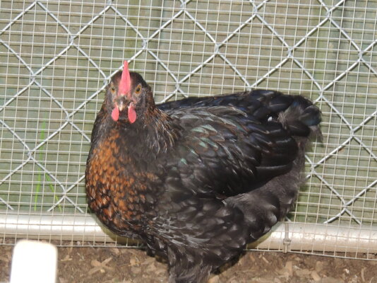 DSCN5144.JPG
