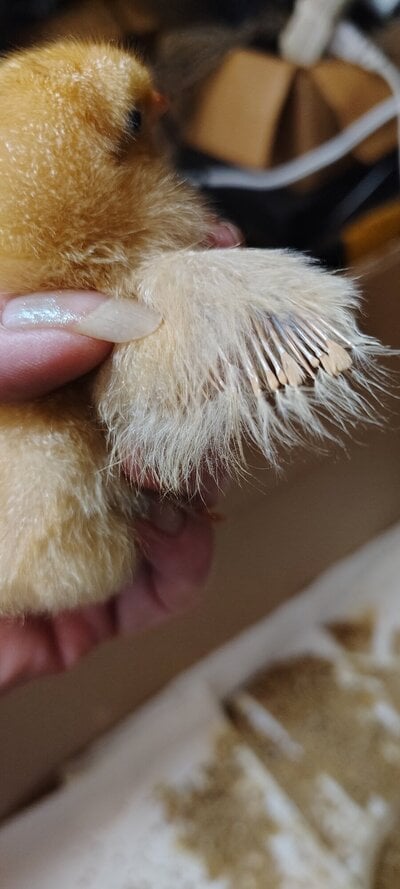 IMG_20250825_222406291_HDR.jpg