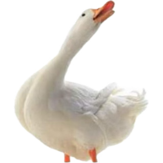 1756188884797.png