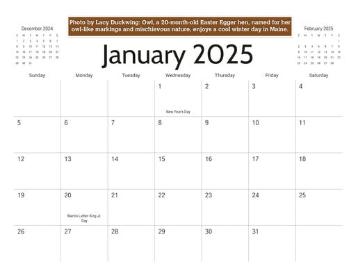 01_b_January_2025.jpg
