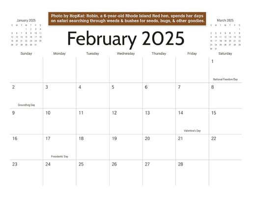 02_b_February_2025.jpg