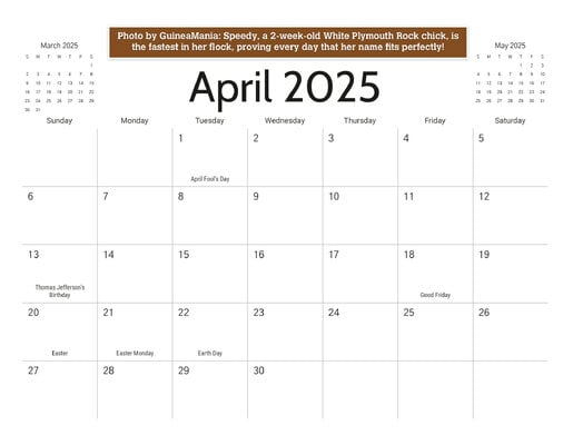 04_b_April_2025.jpg