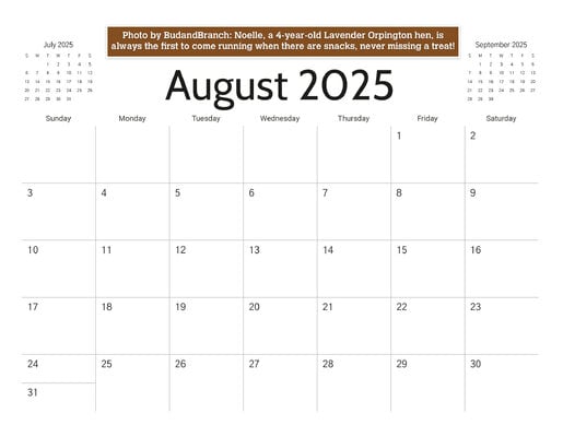 08_b_August_2025.jpg