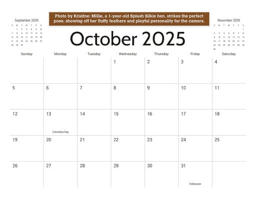 10_b_October_2025.jpg
