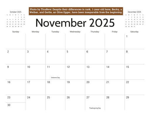 11_b_November_2025.jpg