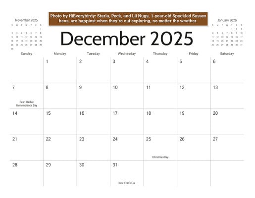 12_b_December_2025.jpg