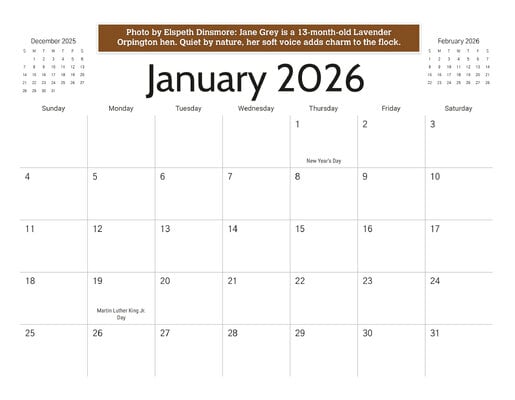 13_b_January_2026.jpg