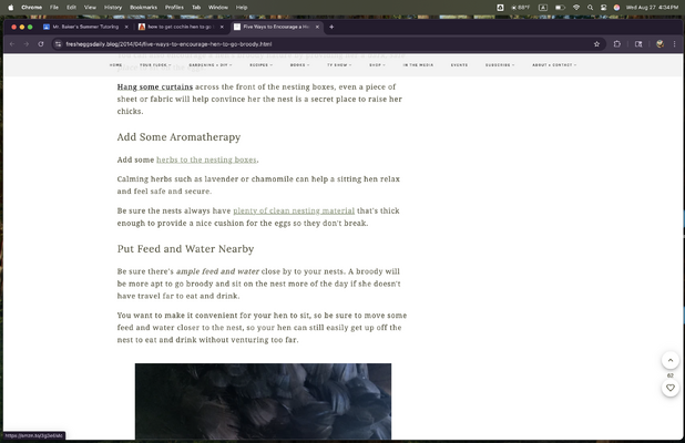 Screenshot 2025-08-27 at 4.34.52 PM.png