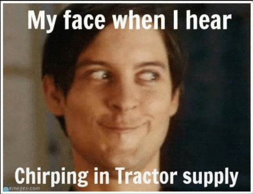 TSC.gif
