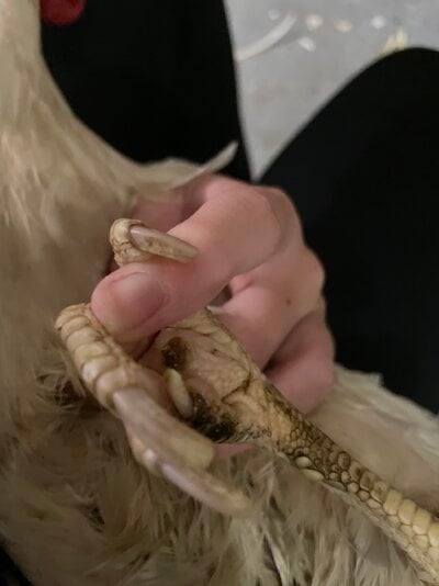image.jpg