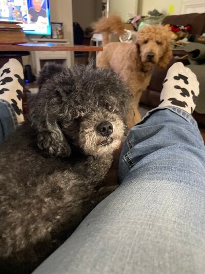 IMG_2682.jpeg