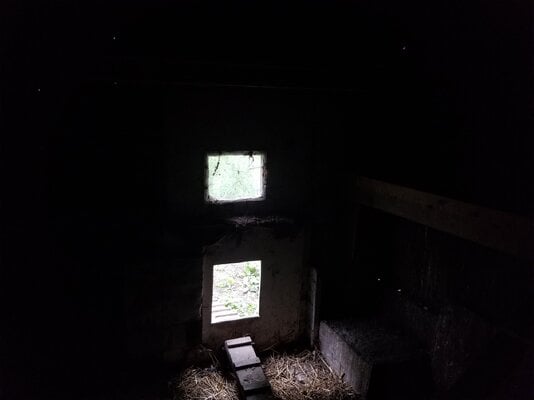 20250828_170347.jpg