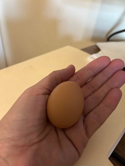 IMG_5700.jpeg