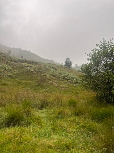 IMG_5426.jpeg