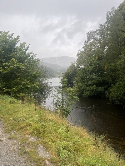 IMG_5429.jpeg