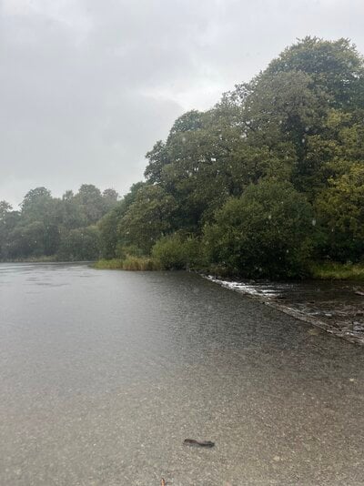 IMG_5439.jpeg