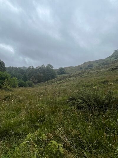 IMG_5477.jpeg