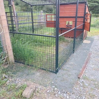 Coop end wire and apron.jpg