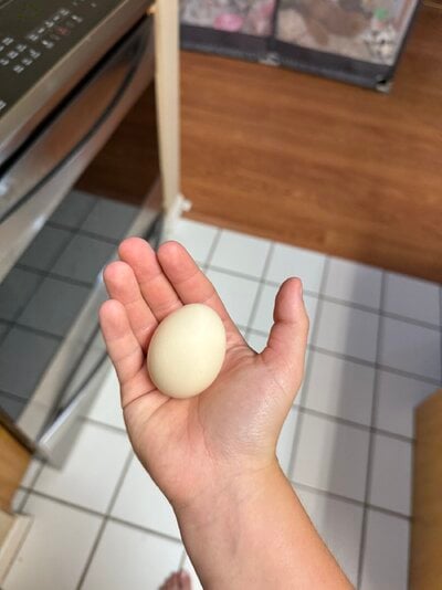 IMG_1765.jpeg