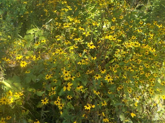 DSCN1521.JPG