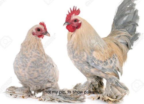 1757099453239.png