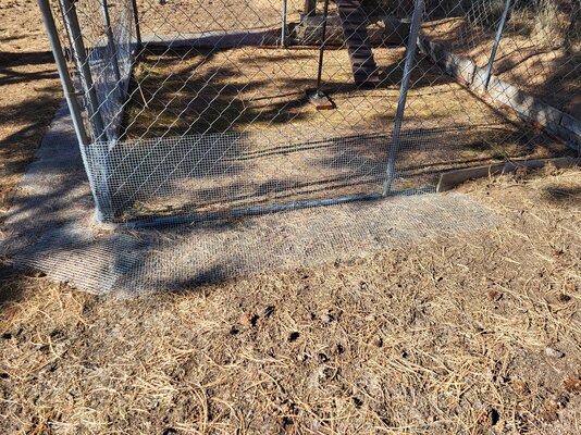 64 Hardware cloth laid around base of run.jpg