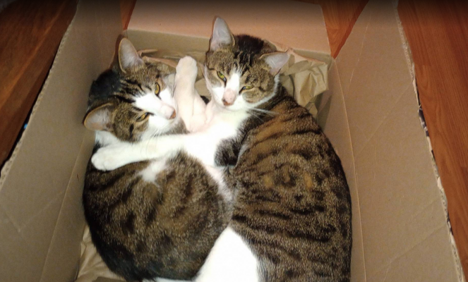 Screenshot 2025-12-29 at 22-30-06 Voice - Messages.png